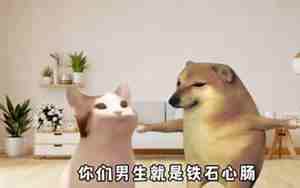 男朋友年终总结