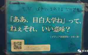 日本野鸡大学