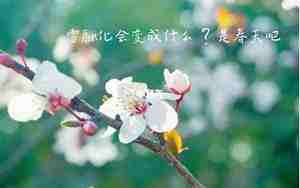 美丽的花朵是完整的句子吗