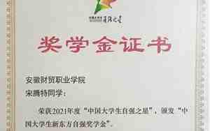 中国大学生自强之星