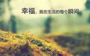 关于和家人的句子