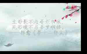 美得让人心碎的句子