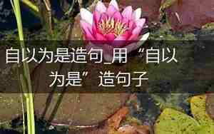 表示自以为是的句子