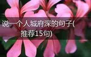 城府深的句子