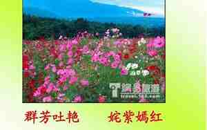 群芳吐艳的意思并造句子