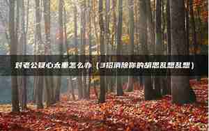 老公心计太重怎么办
