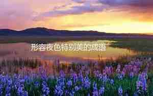 形容夜色撩人的句子