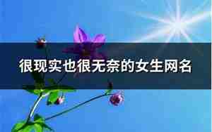 无奈网名
