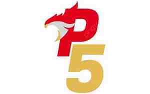 P5多少钱