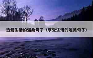 还是向往一个人的生活的句子