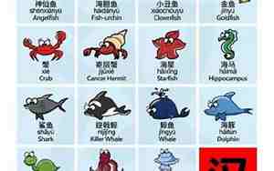 海洋生物宝宝名字