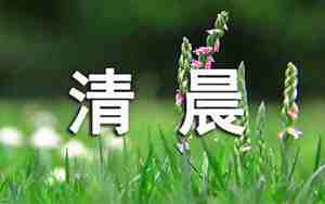 一缕什么阳光句子