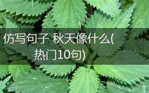 仿写句子秋天像什么