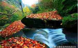 巴中旅游景点推荐