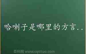 哈喇子是哪边方言