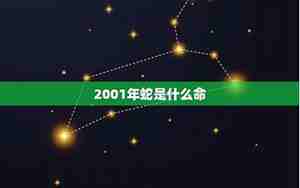 2001属蛇是什么命