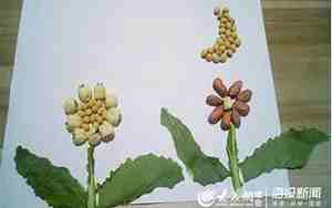 果壳大变身教案
