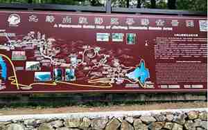 九峰山在哪里