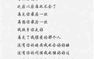 从新一段新感情