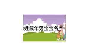 胡姓鼠年男宝宝名字