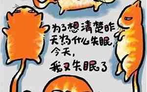 猫言猫语