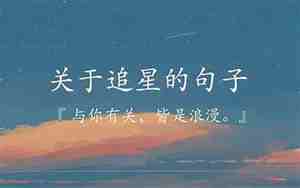 描写追星的句子
