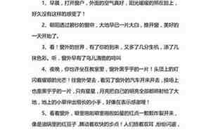 关于窗户的句子