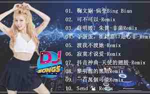 好听的dj中文歌曲100首