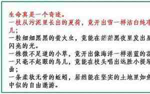 因果互代的借代句子