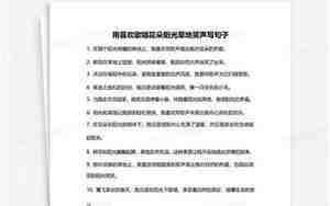 用我喜欢写句子