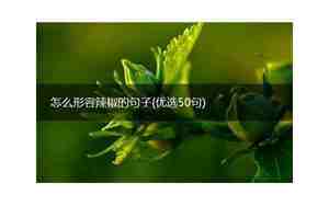 形容辣椒枝叶的句子