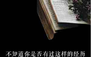 形容不好欺负的句子