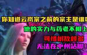 云岚宗宗主是谁