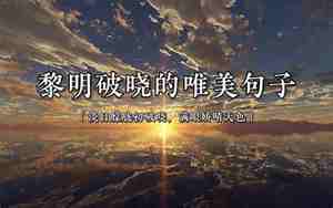 优美华丽的句子或段落