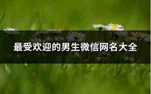 男用微信网名