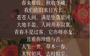文章中很美的句子