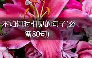 不知何时再相见的句子