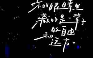 错过你的句子