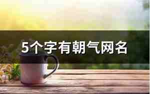 有朝气的网名
