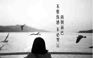 忘掉感情的句子