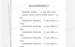 兄弟情深的句子