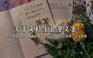 关于文科的句子