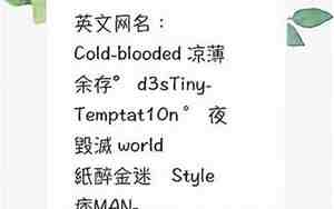 网名中文加英文