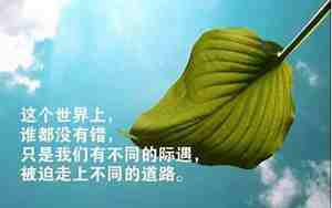 关于人生回头的句子散文