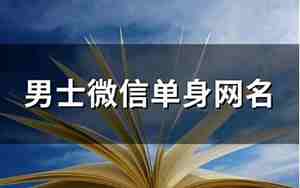 微信单身网名
