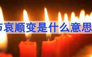 节哀顺变是什么意思