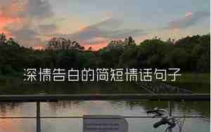 告白的句子短