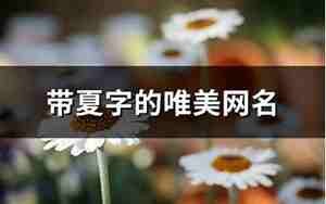 唯美带夏字的网名女生