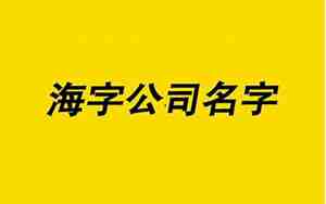公司名字带海字的