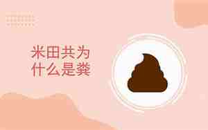 米田共为什么是粪